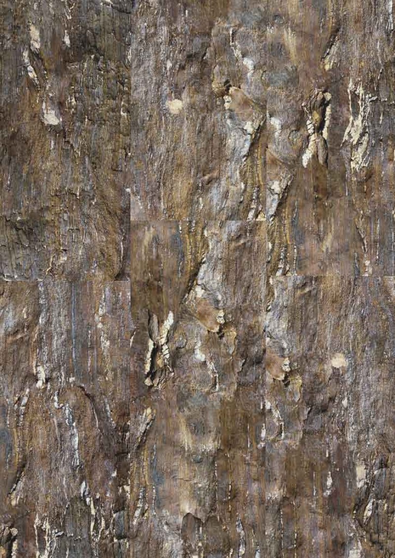 Fossil