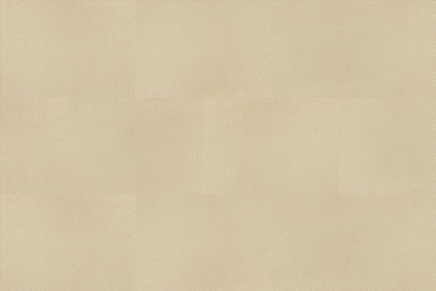bisonsand2