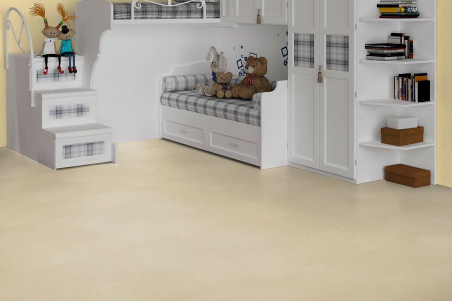 bisonsand3